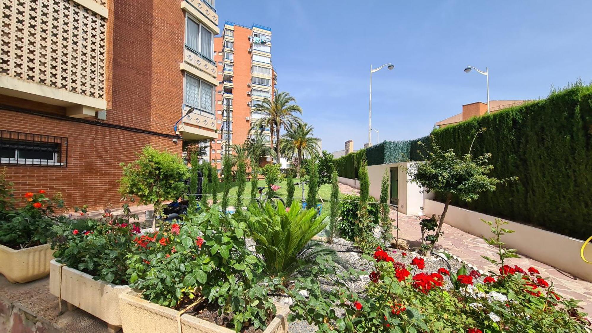 Apartamento San Sebastian If بينايدورم المظهر الخارجي الصورة